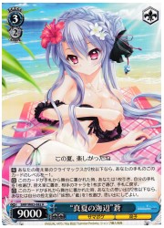 SMP(2)青 ‘真夏の海辺’蒼(R)(W82-082)の画像