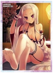 NEXTONガールズスリーブコレクション16　戦国†恋姫「一葉」の画像