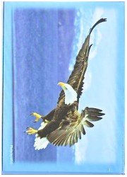 ハイブリッドスリーブミニ　「白く高き飛翔」画像