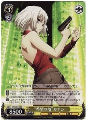 CNE(1)黄　‘希望の地’カナン(R)(SE02-05)の画像