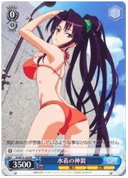 ID限青　水着の神裂(PR)(W13-120)の画像