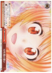 NK(1)赤　10年間の想い(CR)(W30-073)の画像