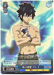 FTE(1)青　氷の城壁 グレイ(ホイル)(SE10-41)の画像