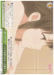 SHS(2)緑 フラグを折らなかった彼女(CR)(W71-053)の画像