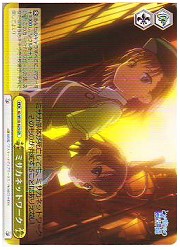 ID(1)黄　ミサカネットワーク(CR)(W10-023)の画像