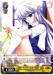 GRI(2)黄 迷宮に咲く花 一姫(RR)(S84-001)の画像