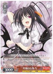 Fdd(1)赤 究極のS 朱乃(R)(W65-048)の画像