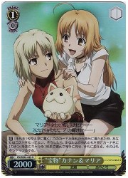 CNE(1)黄　‘宝物’カナン&amp;マリア(ホイル)(SE02-02S)の画像