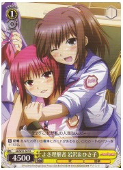 AB(2)黄　よき理解者　岩沢&amp;ひさ子(R)(W31-007)の画像