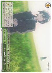 CHA(1)緑 いつか聴いた音(CR)(W40-048)の画像