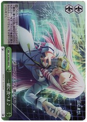 DCE(2)緑　一緒に食べよ♪(ホイル)(WE02-009)の画像