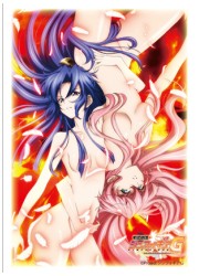 ブシロードスリーブ しろくろフェスタ販売　シンフォギアG「翼&amp;マリア」の画像