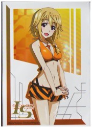 ブシロードスリーブコレクションHG仕様　IS　シャルロット　(サプライセット同梱)の画像