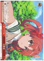 RG(3)赤　目撃者(CR)(W26-078)の画像