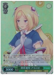 HOL(2)緑 資産運用 アキロゼ(SR)(W104-059S)の画像