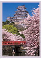 ハイブリッドスリーブ　「姫路城」の画像