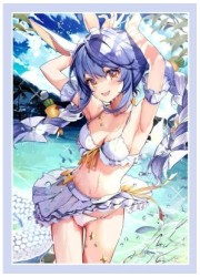 未確認スリーブ　ぺこら(水着)　スリーブ　(イラスト:メリーはるひな)の画像