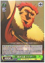 FZE(1)緑　我が王道 ライダー(ホイル)(SE13-17)の画像