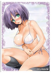 キャラクタースリーブ クリエーターズコレクション 石恵(EN-073)の画像