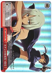 CNE(1)赤　カナンの名を持つ存在(ホイル)(SE02-26S)の画像