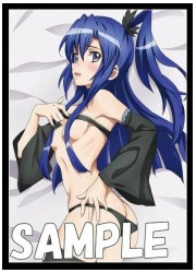 ミッドナイトブルー　シンフォギア 翼(ブラックウエディング)　(イラスト:藤川大智)の画像