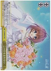 DCVSLB(1)黄 この日を忘れない(RE)(ホイル)(WE30-19)の画像
