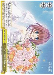 DCVSLB(1)黄 この日を忘れない(RE)(WE30-19)の画像