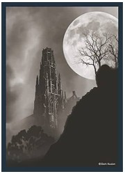 ハイブリッドスリーブ　「凶兆の月」リバイバルの画像