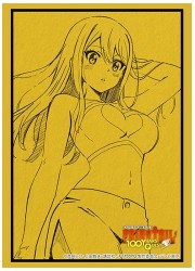 ブシロードスリーブコレクションHG4607　FAIRY TAIL100年クエスト『ルーシィ』の画像