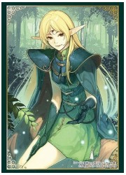 ブシロードスリーブコレクションHG1923　角川 ロードス島戦記「ディードリット」の画像