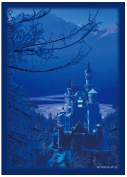 ハイブリッドスリーブ　「夢幻の孤城」リバイバルの画像