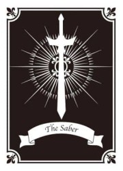 モノクロームスリーブコレクション　「剣士」の画像