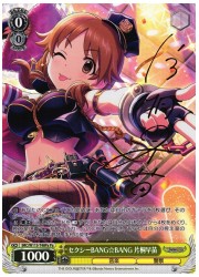 IMST(2)黄 セクシーBANG 片桐早苗(Pa)(S115-T48Pa)の画像