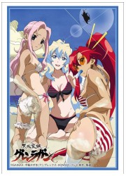 ブシロードスリーブコレクションHG1641 天元突破グレンラガン「ヨーコ・ニア・ダリー」の画像