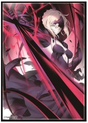フレシア　FGO　セイバーオルタ　スリーブ　(イラスト:光崎)の画像