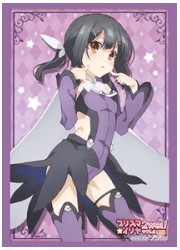 ブシロードスリーブコレクションHG763　プリズマイリヤツヴァイ!「美遊」の画像
