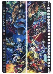 DM カードプロテクト 20周年パーフェクトセット 同梱品 42枚の画像