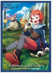 ポケモン オフィシャルデッキシールド ヒナツ(64枚)の画像