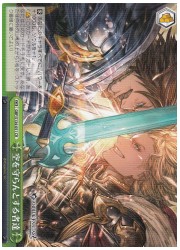 GBF(1)緑 空を守らんとする者達(CR)(S134-051)の画像