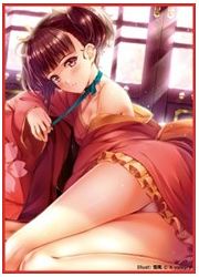 X　Valkyry　-AM05- 無名　スリーブの画像