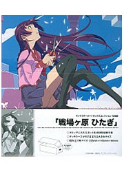 キャラカードボックス　化物語 「戦場ヶ原 ひたぎ」の画像