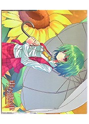 東方銀符律 スペシャルストレイジボックス『風見幽香』の画像
