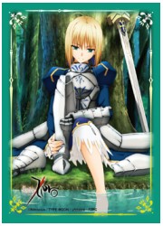 ブシロードスリーブコレクションHG389　Fate/Zero「セイバー」Part.2の画像