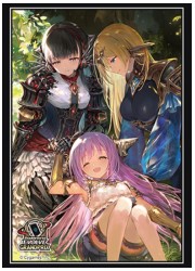 シャドウバースエボルヴ 公式スリーブEX Vol.43 『鋼鉄の希望』の画像