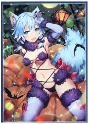 フロンティアゲーム　SAO シノン(デンジャラスビースト)　スリーブ　(イラスト:我美蘭)の画像