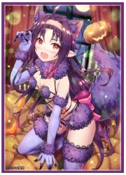 フロンティアゲーム　SAO ユウキ(デンジャラスビースト)　スリーブ　(イラスト:我美蘭)の画像