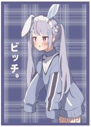 白詰草　ぶいすぽっ!　兎咲ミミ　ビッチ　スリーブ　(イラスト:yadon)の画像