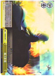 FZE(1)黄　風王・鉄槌(ホイル)(SE13-09)の画像
