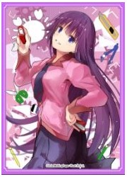 Melting Sugar　ひたぎ　スリーブの画像