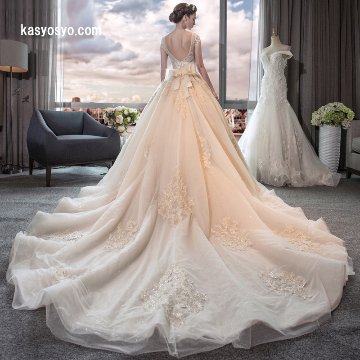 美しいバックラインレース ロングトレーン ウェディングドレス　袖付き　プリンセスラインの画像
